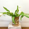 Handthrown Pottery Crock (M) - Niagara Cliffs-Ellison Bay Pottery Studios